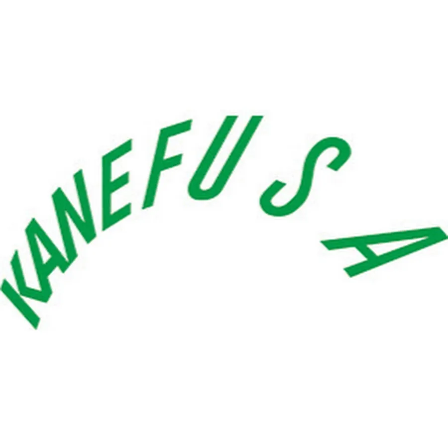 Kanefusa